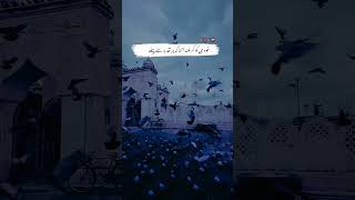 Khirandmando  WhatsApp Status  shayari [upl. by Laiceps173]