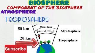 BIOSPHERE [upl. by Martsen9]