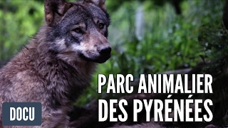 Parc Animalier des Pyrénées  Reportage [upl. by Wileen]