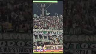 Cantemos sureños losdelsur 🎶🟢⚽ sdvsf vamosverde vamosnacional futbol fpc futbolantioqueño [upl. by Adnamma]