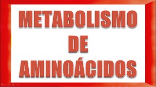 METABOLISMO DE AMINOÁCIDOS [upl. by Fulmis783]