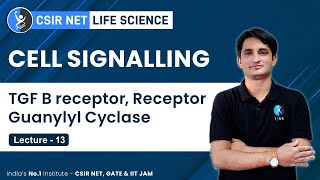 Tgf B Receptor Receptor Guanylyl Cyclase Cell Signalling For CSIR NET GATE [upl. by Eaneg480]