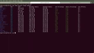 PPPoE authentication in action on BNG software [upl. by Packer]