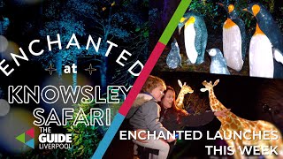 Enchanted is back at Knowsley Safari this festive season  The Guide Liverpool [upl. by Plate718]