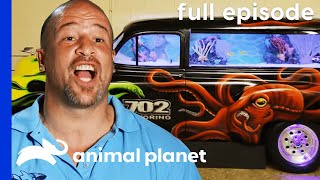 FULL EPISODE Brett Takes a Dive S1 E1  Tanked [upl. by Ahseenyt]