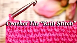 How To CROCHET The quotKNIT STITCHquot [upl. by Nepean]