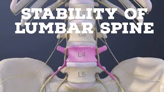 Stability of lumbar spine [upl. by Nylorahs]