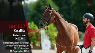 Auktionsfestival Lot 127 Casallita Stute v Casallco  Action Breaker [upl. by Bourque]