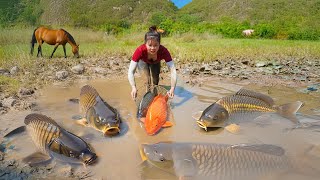 Drain Pond With A HighCapacity Pump  Harvesting Many Fish And Turtle  Farm Life [upl. by Joaquin]