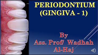 2 Periodontium 1 Gingiva 1  Dr Wadhah Periodontology lectures د وضاح الحاج [upl. by Lucille894]