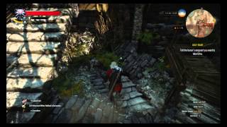 Troll Decoction Location Witcher 3 Wild Hunt [upl. by Ramiah]