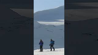 Surviving a Polar Bear Encounter in the Arctic [upl. by Naujek]