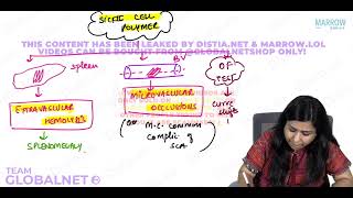 HAEMOLYTIC ANEMIA  PART 2 By Dr Illa jain khandelwal Pathology by Marrow Video Lacture [upl. by Rosecan]