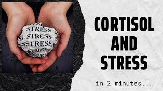 Cortisol the stress hormone in 2 mins [upl. by Shepard]