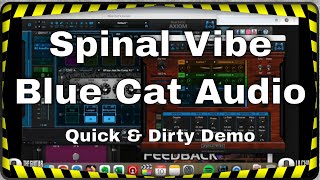 Spinal Vibe Blue Cat Audio quick amp dirty demo [upl. by Ahsinnor]