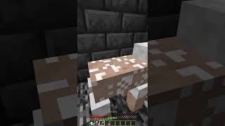 How To Escape Lucky Trap Moment shorts minecraft meme [upl. by Annasoh]