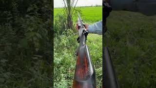 hunting rifle 7mm rifle huntingrifles safetyfirst hunting shotgun [upl. by Montfort187]