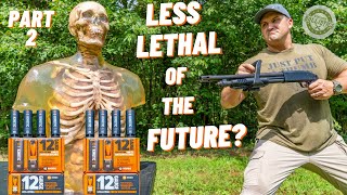 How Lethal Are Less Lethal Rounds  Part 2 [upl. by Ahsiam]