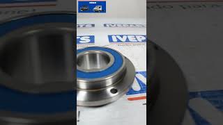 DAILY  ROLAMENTO COM FLANGE EXTERNO POLIA VISCOSA BOMBA ÁGUA MOTOR  5801598372 ivecostralis diy [upl. by Aisak817]