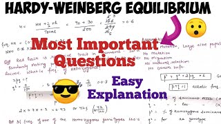 Hardy Weinberg Equilibrium  Practice most important questions🤩 [upl. by Charbonneau]