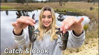 Catch amp Cook MASSIVE AUSTRALIAN YABBIES IN A FIRE  OUTDOOR MUKBANG VLOG [upl. by Eiger]