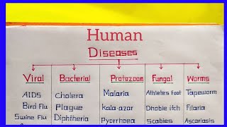 Human Diseases Chart  VirusBacteriaProtozoanFungalWorms Diseases [upl. by Anerat750]