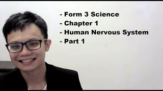 Form 3 Science Chapter 1 Human Nervous System Part 1 [upl. by Lisandra86]