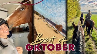 Freispringfails amp neue 🐴  BEST OF OKTOBER 2024 [upl. by Betthel227]