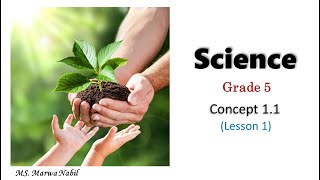 grade 5  science  first term  concept 11  plant needs  lesson 1 [upl. by Yruoc420]