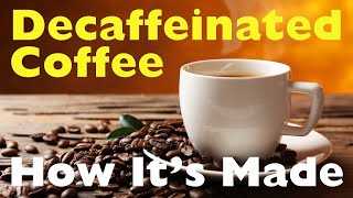 How is Coffee Decaffeinated The Secret Behind Your Cup of Decaf [upl. by Byrd]