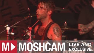 Alexisonfire  No Transitory  Sydney Farewell Show  Moshcam [upl. by Edmanda668]