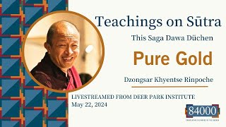 Teachings on Sūtra  Dzongsar Khyentse Rinpoche on Pure Gold [upl. by Assedo439]