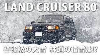 警報級の大雪 ランクル80で林道の積雪を確認 トヨタ ランドクルーザー80 [upl. by Galvin]