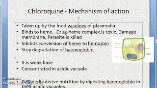 Pharmacology 899 b Chloroquine AntiMalarial Anti Malarial Loading dose drug malaria treatment [upl. by Sonitnatsnok]