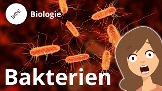 Aufbau einer Bakterienzelle – Biologie Duden Learnattack [upl. by Aicnom]