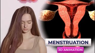 Menstrual Cycle Animation What Every Woman Should Known From Period to Ovulation [upl. by Regina]