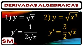 Deriavdas Algebraicas  17 [upl. by Alisa61]