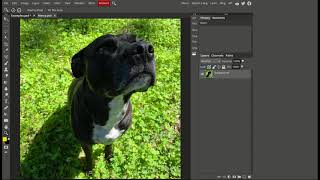 How to Edit Photos in Photopea [upl. by Kilar]