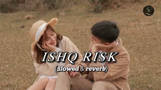 Ishq Risk solwed and reverb song  SoundSafari Song❤️ [upl. by Ahcsat457]