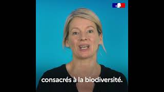 Le Congrès mondial de la nature de lIUCN sera celui de la cohérence [upl. by Hna561]