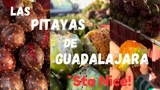 Â´Sta Nice Las Mejores Pitayas en Guadalajara Ch 15 Season 2024 4K 500 Views [upl. by Leor770]