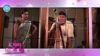 Brindavanam Lo Gopika Movie Scene  Krishnudu Comedy Telugu Movies  iDream Tirupati [upl. by Ernesto]