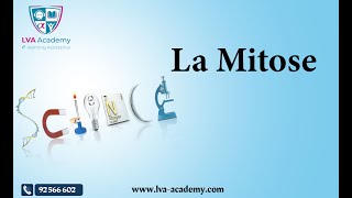 ✅ Science  La Mitose  2ème année [upl. by Pardoes]