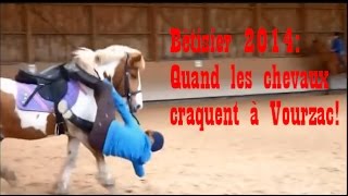 Bêtisier équestre 2014 quotQuand les chevaux craquent à Vourzacquot [upl. by Jasisa]