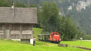 Idylle Wälderbähnle und Alpenhörner  209108 auf der Bregenzerwaldbahn HD [upl. by Reames]