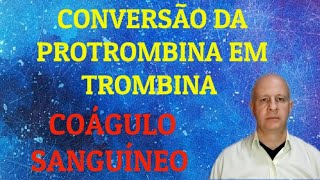 Conversão da protrombina em trombina Coagulação sanguínea [upl. by Ettinger]