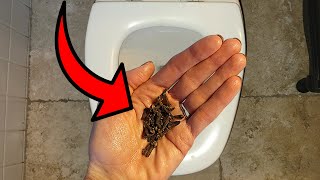 Use THIS simple trick to make your BATHROOM smell AMAZING ⚡ [upl. by Ricarda]