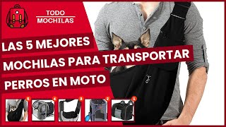 Las 5 mejores mochilas para transportar perros en moto [upl. by Lleval]