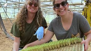 Volunteers from all over the world come to help farmers in Nitzana [upl. by Noraed900]