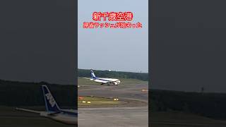 【新千歳空港】帰省ラッシュが始まった‼️朝7時になるといろんな✈️の離発着❣️hokkaidou 新千歳 shorts 88 [upl. by Manon]